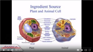 Video: A review of all pro-digestible solutions - Sergio Vieira - Advancia Academy 2017