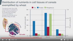 Webinar 3 - Distribution of nutrients in cell tissues of cereals