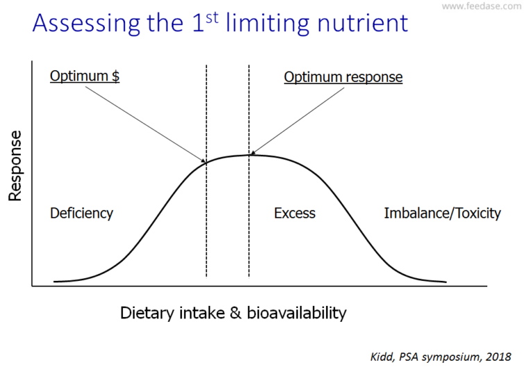 Animal response to limiting nutrient intake