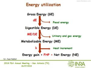 From gross energy to net energy