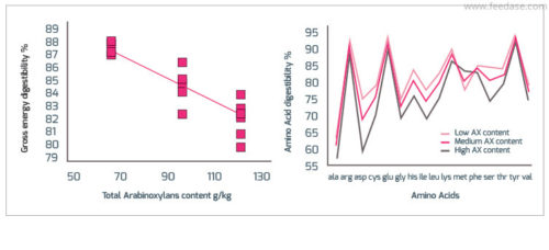 Impact of arabinoxylans on gross energy and amino acid digestibility