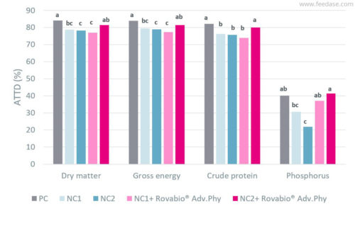 Effect of dietary treatment on ATTD of dry matter, gross energy, crude protein and phosphorus