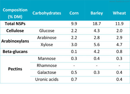 Table 1: NSP content of wheat and corn